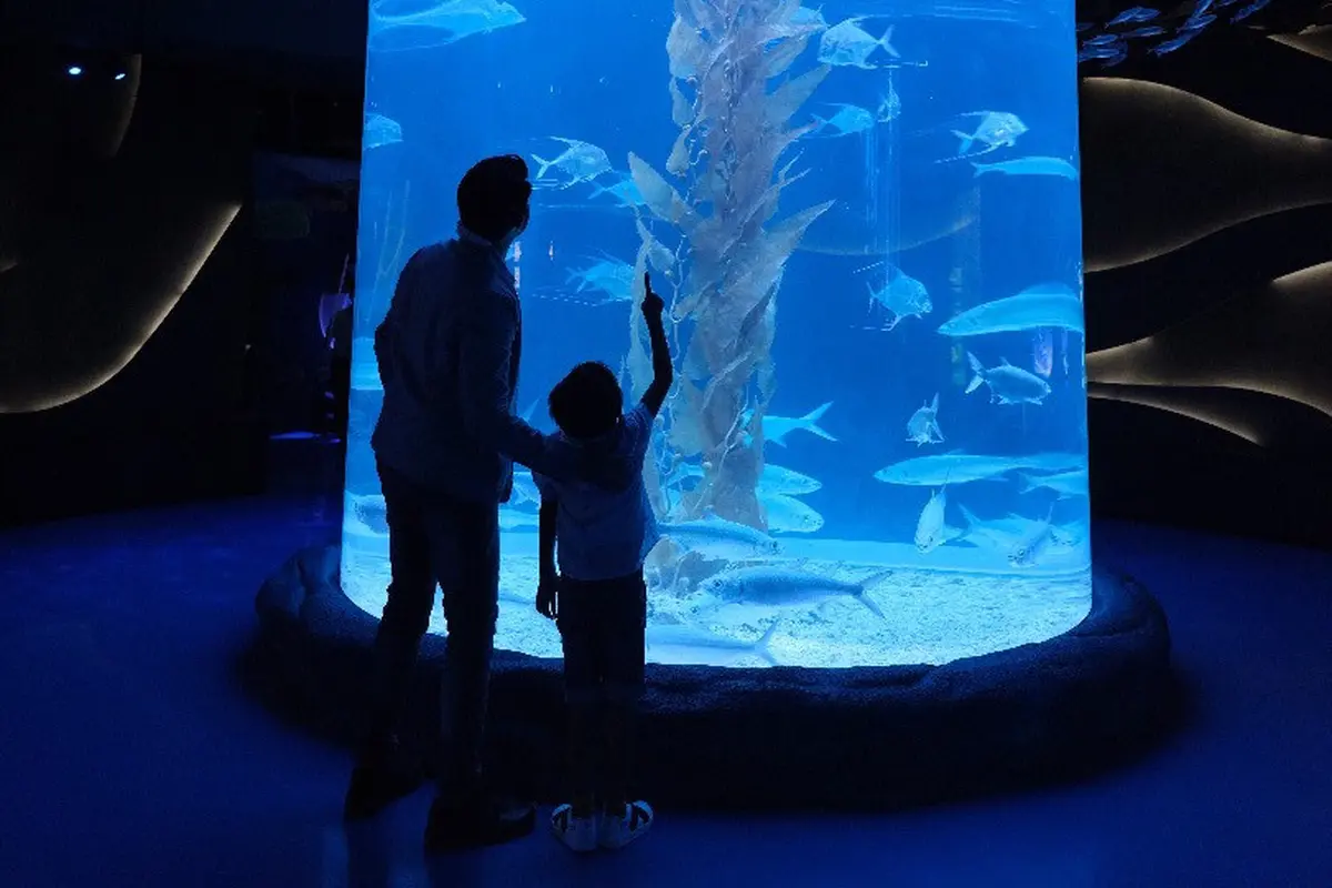Aquarium Jakarta