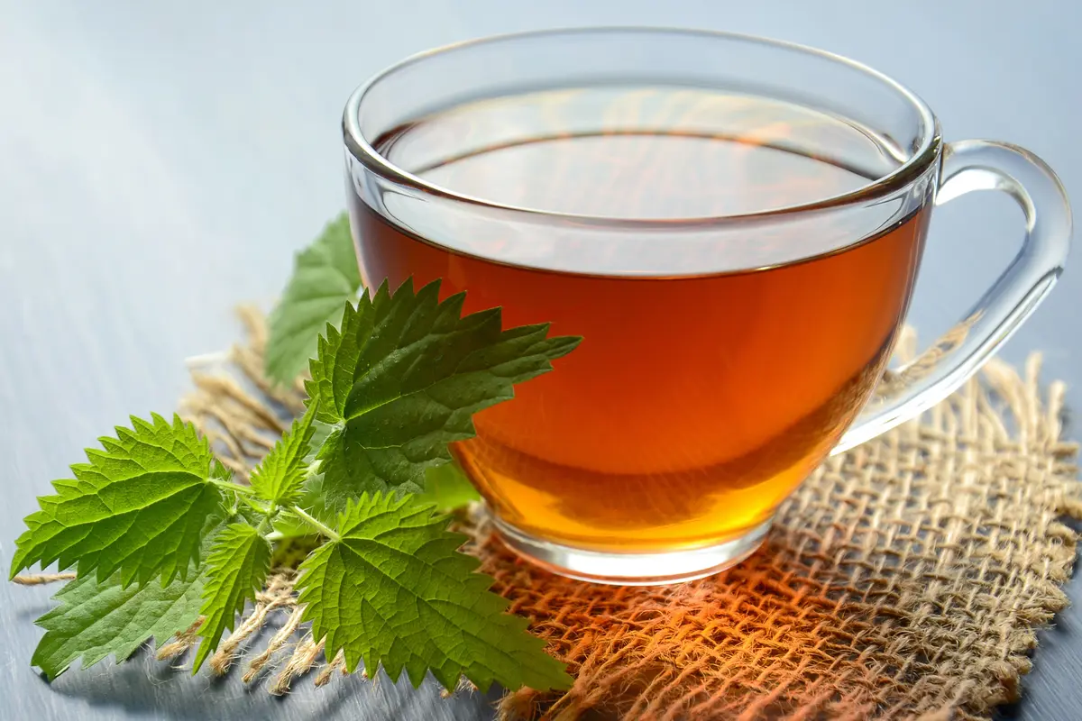 ilustrasi teh herbal untuk lambung/pexels