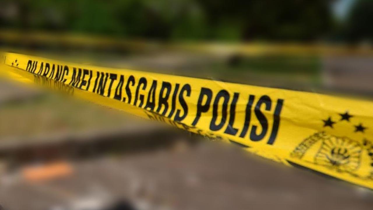 Detik-Detik Warga Pelalawan Diserang Gajah Sumatera, Punggung Robek hingga Dilarikan ke RS