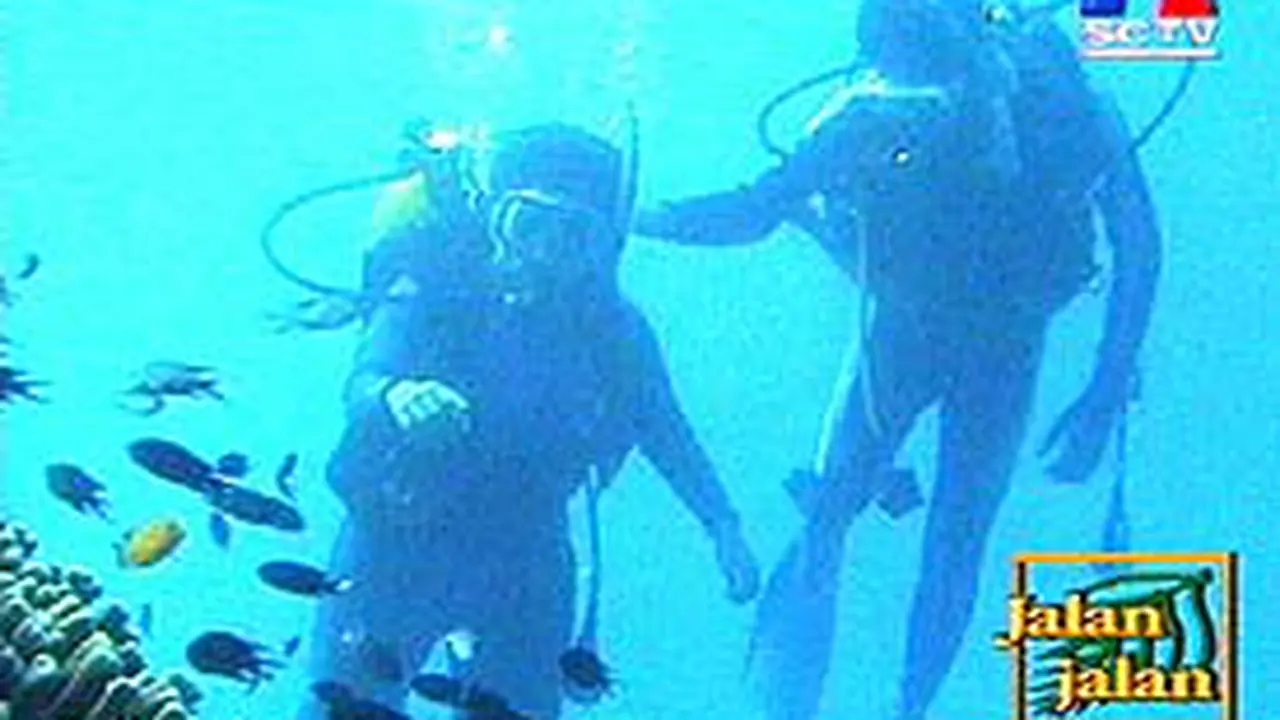 201104aJalan.jpg