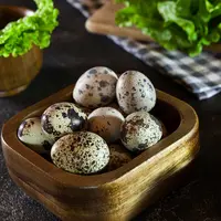 ilustrasi telur puyuh/lokisurina/shutterstock