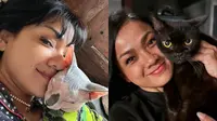 Foto-Foto Kucing Nirina Zubir, Banyak yang Diselamatkan dari Jalanan