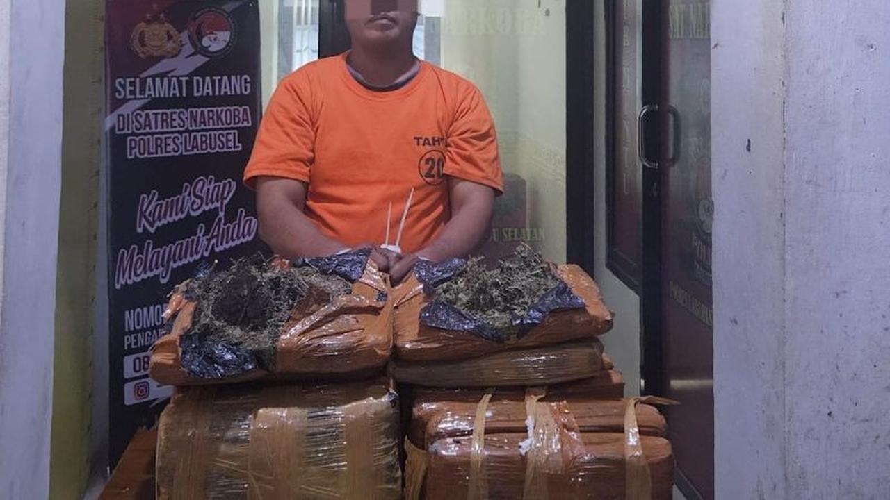 Polres Labuhanbatu Selatan Tangkap Pria Bawa 26 Kg Ganja, Pelaku Sempat Melawan