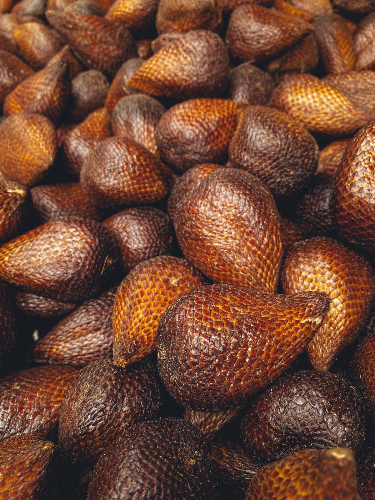 Ilustrasi buah salak