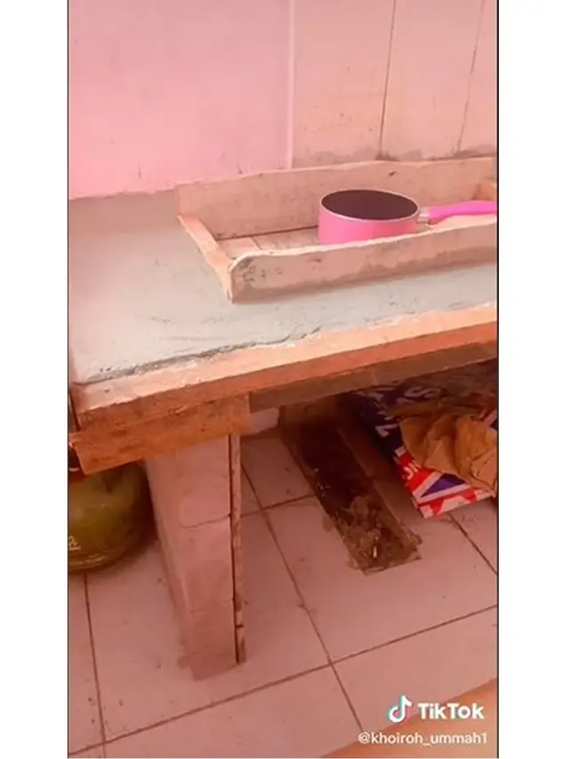 8 Potret Modifikasi Rumah yang Isinya Bikin Takjub, Ada Jendela dari Akuarium