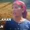 Mengubah Lahan Kering Jadi Ladang Cuan