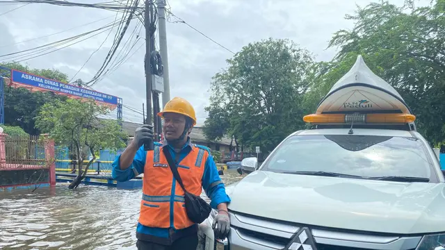 PLN