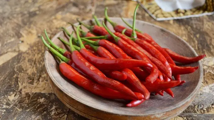 Photo: Copyright Nandang Wuyung