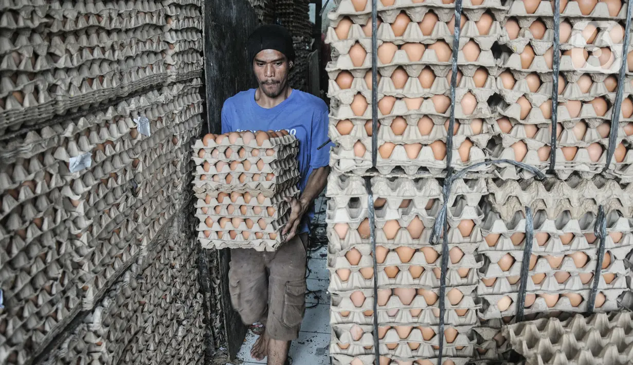 Aktivitas pekerja di salah satu agen telur ayam di Jakarta, Selasa (14/3/2023). Kenaikan sejumlah harga komoditas pangan salah satunya telur ayam merupakan kondisi yang terjadi setiap tahunnya atau menjelang Hari Besar Keagamaan dan Nasional (HBKN). (merdeka.com/Iqbal S Nugroho)