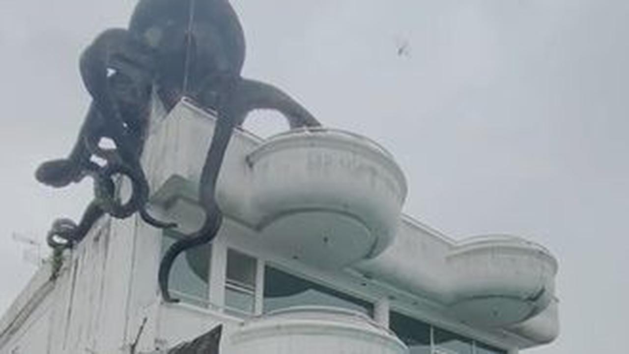 Rumah Gurita Viral <br>