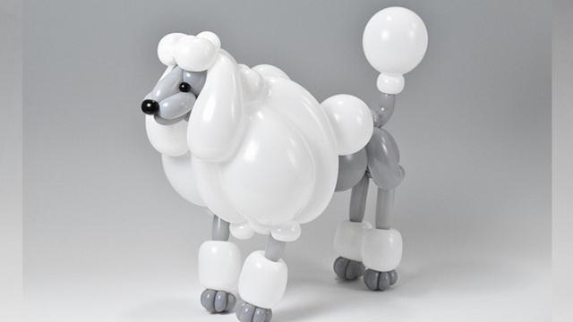 Balloon Art