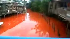 (Liputan6.com)