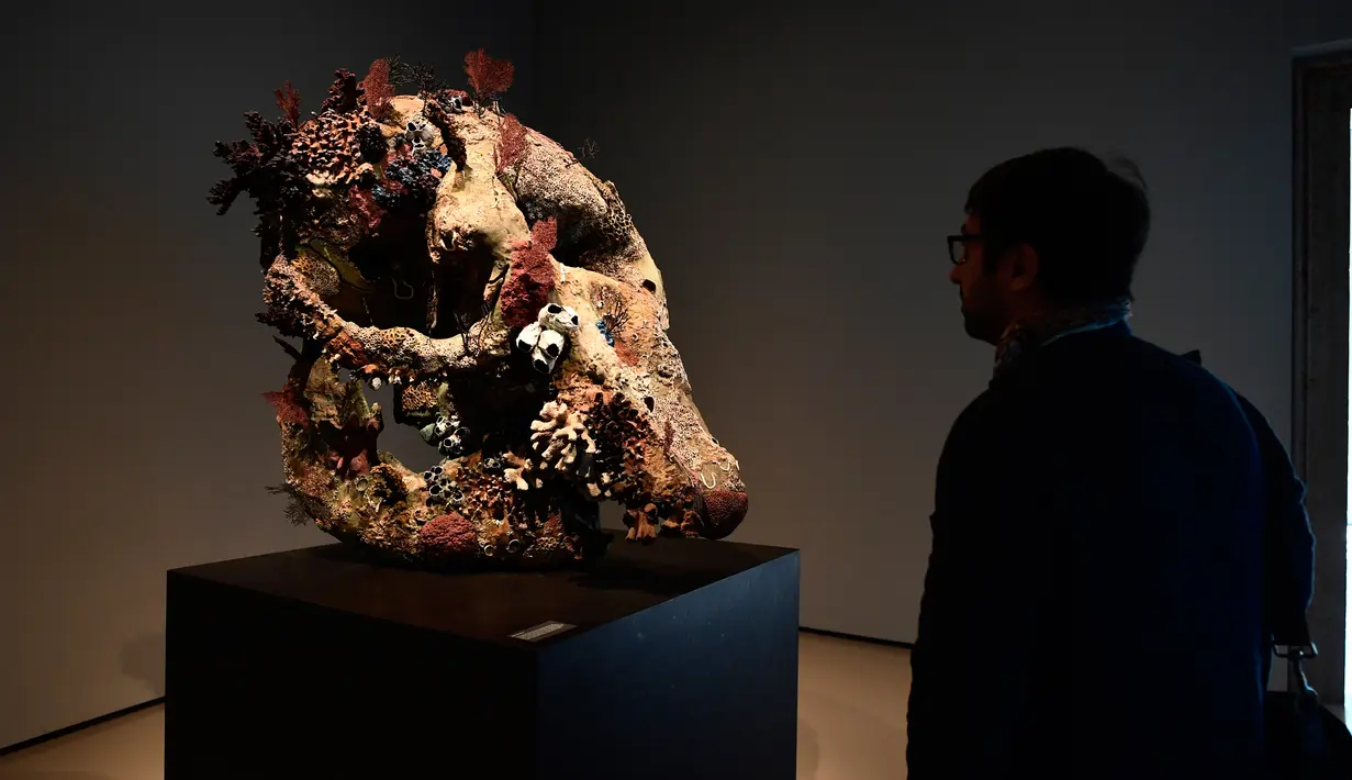 Seorang pria melihat patung yang berjudul "Skull of a Cyclops" karya seniman Inggris, Damien Hirst saat pameran di Venice, Italia (6/4). Karya patung tersebut terbuat dari logam yang dibalut dengan terumbu karang. (AFP Photo/Miguel Medina)