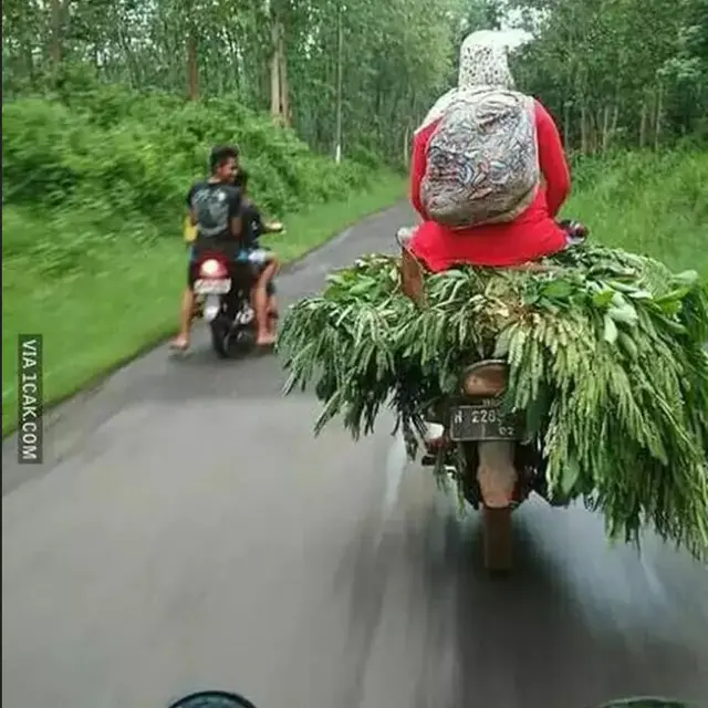 6 Potret Tempat Duduk Nyeleneh di Motor Ini Bikin Tepuk Jidat, Menyusahkan Diri