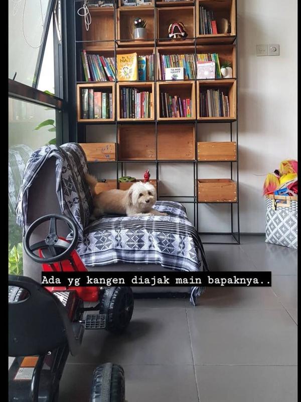 Anjing peliharaan Dwi Sasono (Instagram Stories)