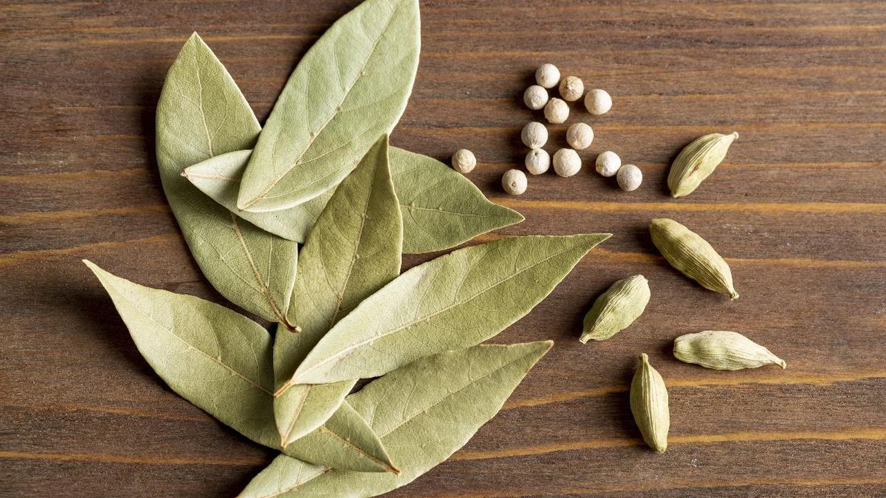 3. Daun Salam