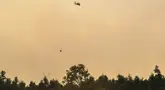 Petugas pemadam kebakaran menggunakan helikopter memadamkan kebakaran hutan pada lahan gambut seluas lebih dari 100 hektar) di Pulang Pisau, Provinsi Kalimantan Tengah, Indonesia, Jumat, 31 Juli 2026.  (AFP/ Reina)