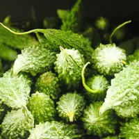 ilustrasi/copyright pixabay.com/conceproof