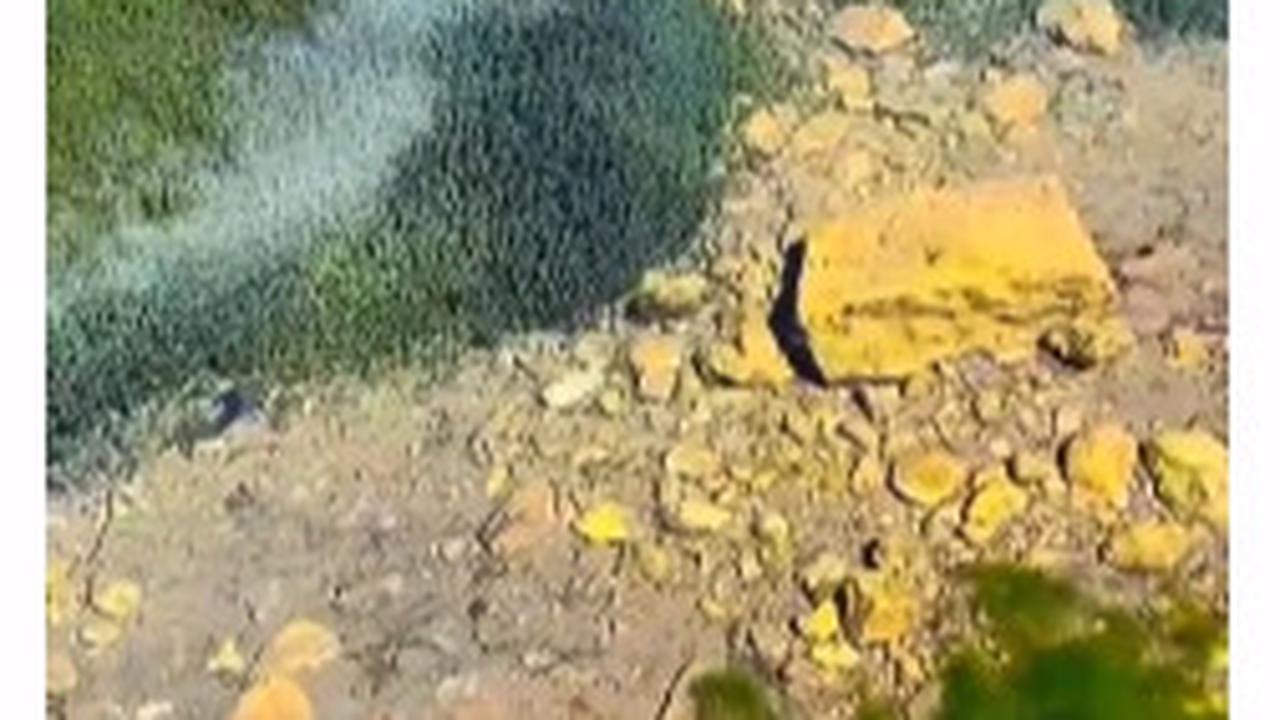 Danau di Selandia Baru Ini Jernih Banget Bak Kaca Transparan, Peneliti Ungkap Faktor Penyebabnya yang Tak Terduga