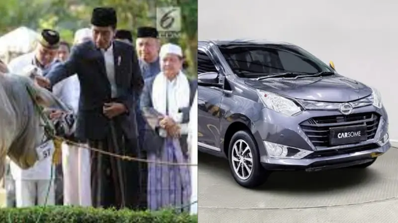 Presiden Jokowi Bagi-Bagi Sapi Kurban