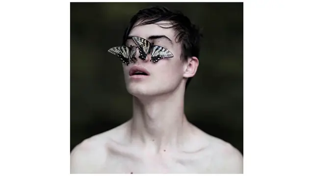 Photo copyright Lifebuzz.com