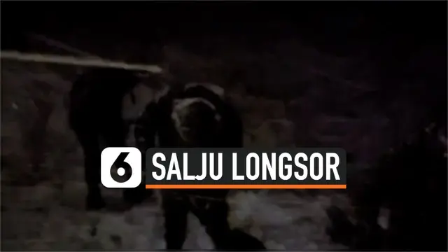 SALJU LONGSOR