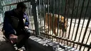 Pemilik kebun binatang di Jalur Gaza, Mohammed Oueida bersama harimau koleksinya, Palestina, Senin (7/3/2016). Selama 2014 banyak binatang yang mati akibat perang yang terjadi di kawasan tersebut. (Reuters/ Ibraheem Abu Mustafa)