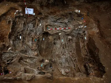 Sejumlah kerangka manusia ditemukan tak beraturan selama penggalian kuburan massal korban Perang Saudara Spanyol di El Carmen, Valladolid (9/5). Penggalian yang dilakukan tim ARMH-Valladolid ini menemukan sekitar 200 mayat manusia. (REUTERS/Juan Medina)