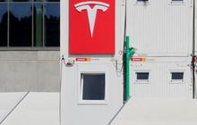 Pabrik Tesla Diserang Kutu Busuk