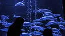 Pengunjung mengamati koleksi biota laut di Jakarta Aquarium & Safari (JAQS), Neo Soho Mall, Jakarta, Rabu (21/4/2021). JAQS menjadi salah satu lokasi alternatif warga dalam mengisi waktu jelang berbuka puasa atau ngabuburit. (merdeka.com/Iqbal S. Nugroho)