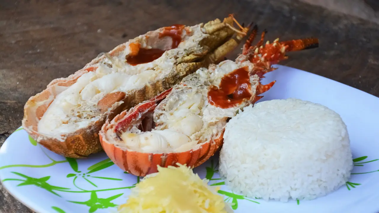 Ilustrasi lobster