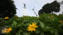 Pemprov DKI berencana melakukan renovasi terhadap Taman Lapangan Banteng, Jakarta, Senin (6/3). Untuk tahap awal, sekeliling lapangan sepak bola di lokasi itu akan dipagari. (Liputan6.com/Immanuel Antonius)