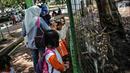 Sejumlah anak TK melihat rusa di Taman Marga Satwa Ragunan, Jakarta, Kamis (13/12). Kegiatan tersebut juga untuk memberikan wawasan kepada anak-anak betapa pentingnya mencintai satwa. (Liputan6.com/Faizal Fanani)