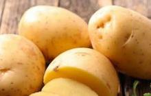 Kentang dan Asam Urat: Tips Pengolahan untuk Manfaat Maksimal