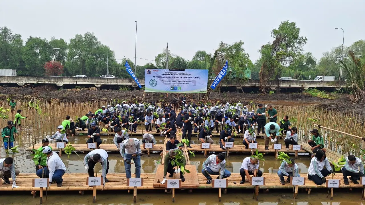 Yamaha Tanam Ribuan Pohong Mangrove di PIK (Arief A/Liputan6.com)