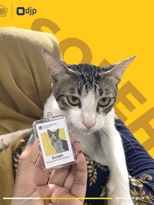 Soleh Pegawai Kucing Ditjen Pajak Serpong