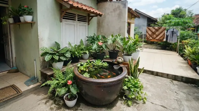 Kolam Kecil dengan Tanaman dalam Satu Wadah