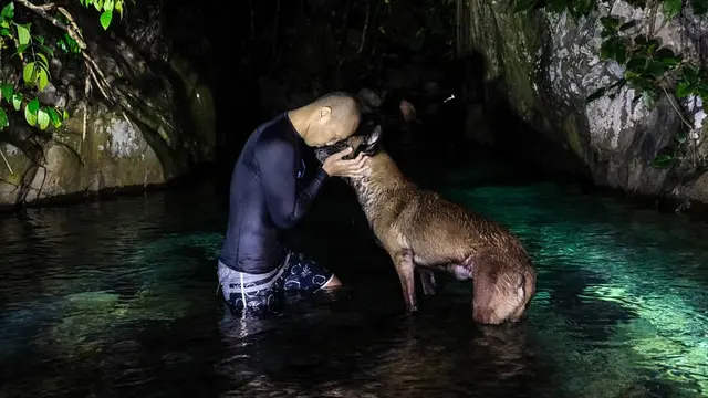 7 Potret Sparta, Anjing Bima Aryo yang Gigit ART