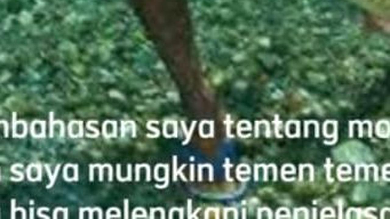 Penampakan Hewan Keramat Penjaga Mata Air di Maluku, Posturnya Raksasa