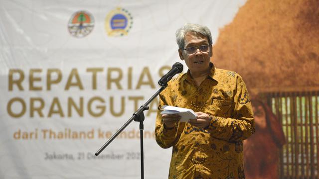 3 Orangutan Korban Perdagangan Satwa Ilegal Pulang ke Indonesia dari Thailand