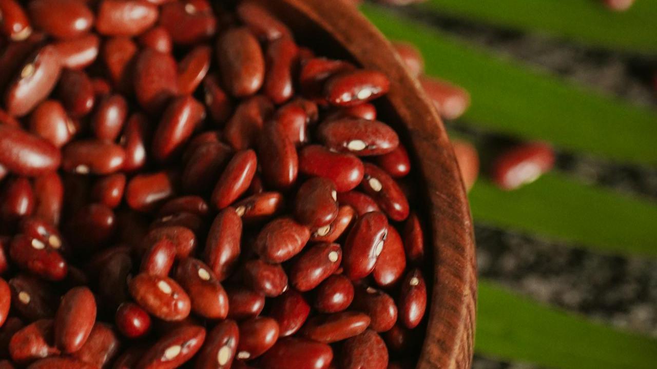 Ilustrasi Biji Kacang Merah Mentah