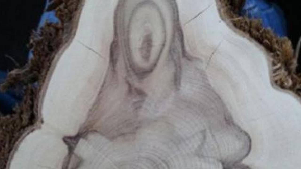 Gambar Bunda Maria pangku bayi Yesus muncul di bongkahan kayu