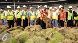 Wakil Gubernur DKI Jakarta, Djarot Saiful Hidayat memegang rumput lapangan saat meninjau perkembangan renovasi Stadion GBK Jakarta, Selasa (18/10). Pengerjaan renovasi Stadion GBK ditargetkan selesai Oktober 2017. (Liputan6.com/Helmi Fithriansyah)