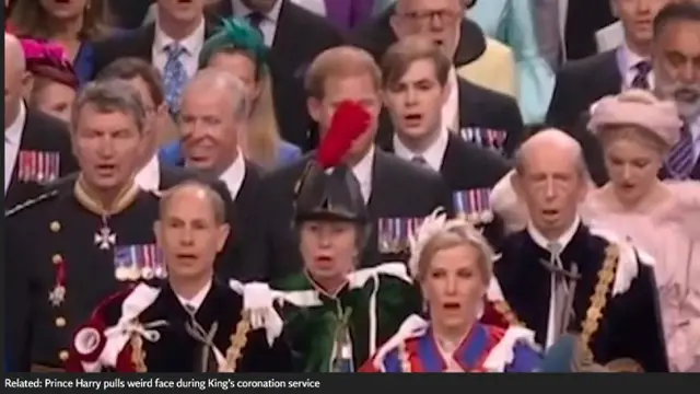 Warga Inggris Gagal Fokus Akan Keberadaan Pangeran Harry yang Terhalang Bulu-Bulu Berwarna Merah yang Tertancap di Topi Putri Anne Selama Prosesi Penobatan Raja Charles III. Momen Ini Mengingatkan Akan Meghan Markle yang Kealingan Lilin Raksasa