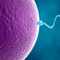 Ilustrasi Sperma atau Sel Reproduksi Laki-laki. (iStockphoto)