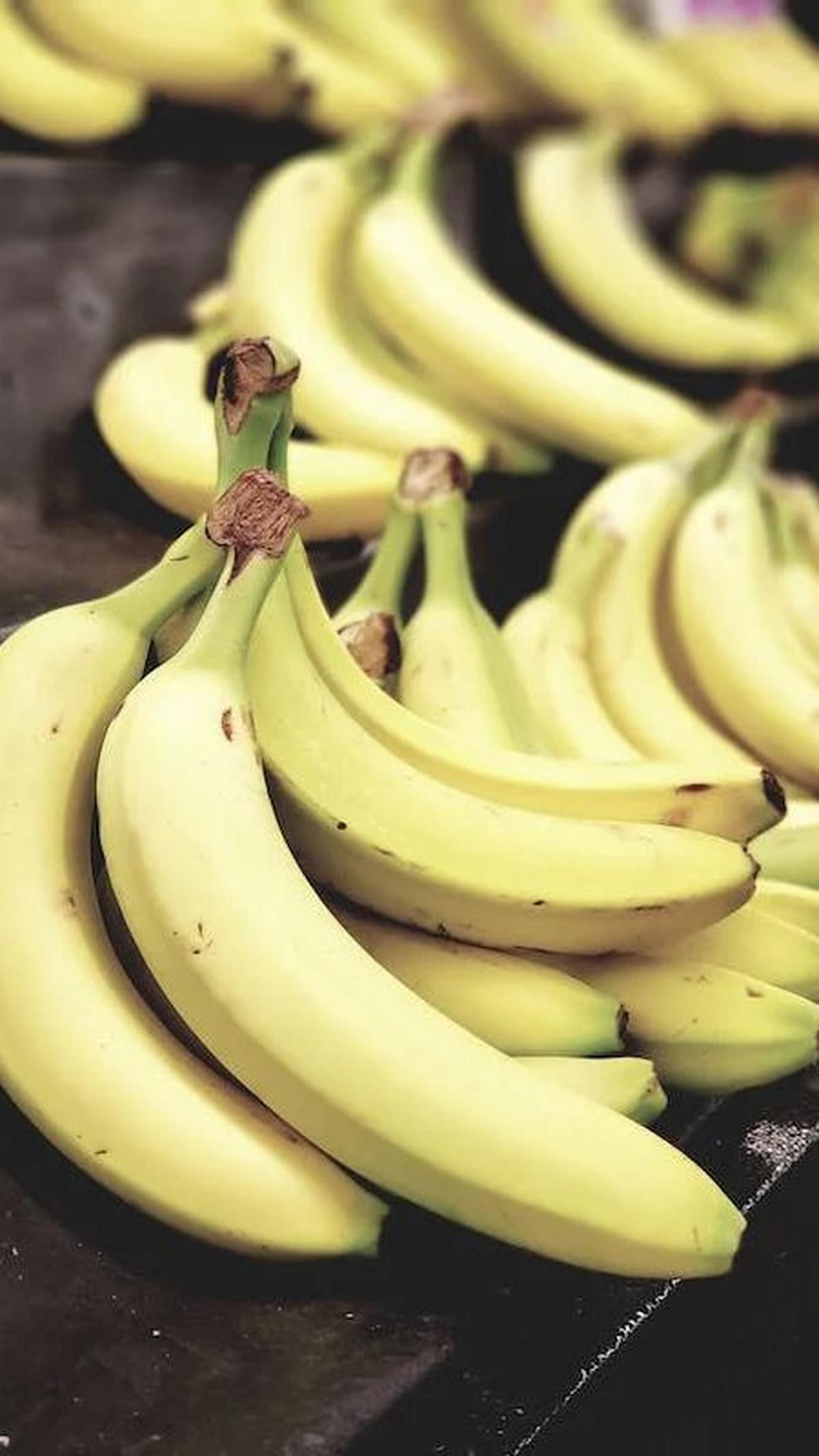 7. Meningkatkan Daya Tahan Tubuh: Pisang mengandung vitamin C dan zat bioaktif yang membantu meningkatkan daya tahan tubuh.