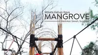 Potret Taman Mangrove Medokan, Spot Wisata Baru di Surabaya (sumber:Instagram/dkppsurabaya dan surabaya)