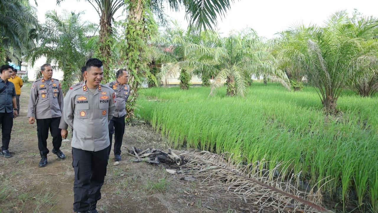Kantor Polisi di Riau Diubah Jadi Sawah Demi Ketahanan Pangan Cita-Cita Prabowo
