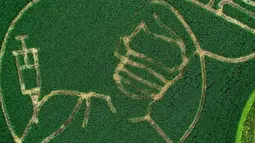 Labirin di ladang jagung membentuk gambar seseorang yang divaksinasi virus corona Covid-19 terlihat dari foto udara, di Selm, Jerman pada 11 Juli 2021. Labirin yang dibuat oleh Benedikt Luenemann itu akan dibuka untuk pengunjung mulai 16 Juli hingga Halloween pada akhir Oktober.. (INA FASSBENDER/AFP