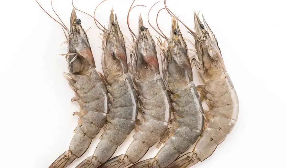 2. Udang